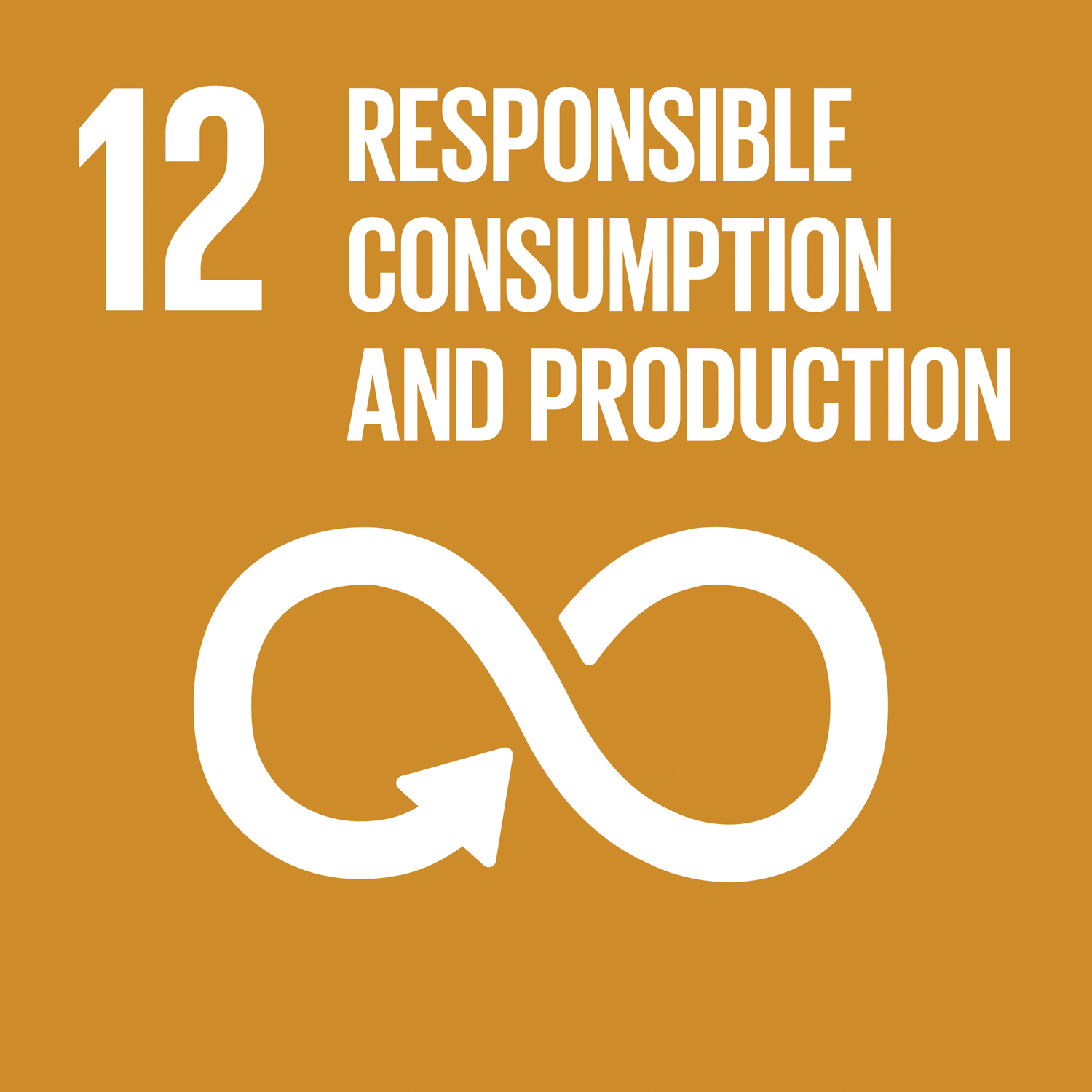Icon for SDG 12 Responsible Consumption and Production