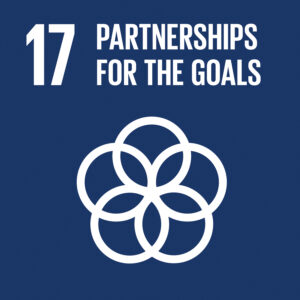 Icon for SDG 17 Partnerships for the Goals